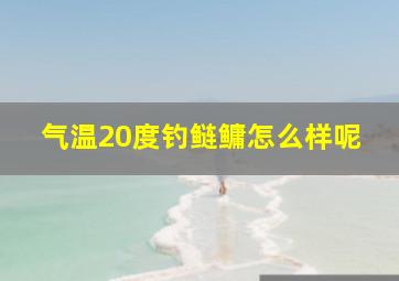 气温20度钓鲢鳙怎么样呢