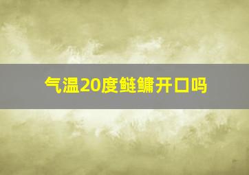 气温20度鲢鳙开口吗