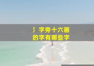 氵字旁十六画的字有哪些字