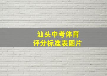 汕头中考体育评分标准表图片