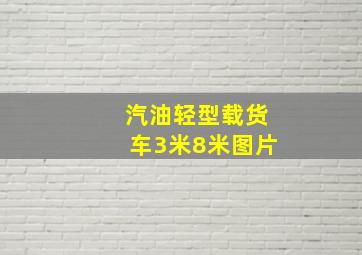 汽油轻型载货车3米8米图片