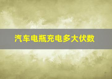 汽车电瓶充电多大伏数