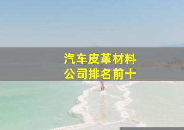 汽车皮革材料公司排名前十