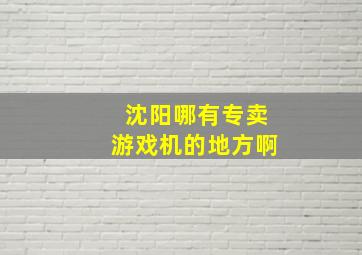 沈阳哪有专卖游戏机的地方啊