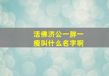 活佛济公一胖一瘦叫什么名字啊