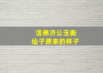 活佛济公玉衡仙子原来的样子