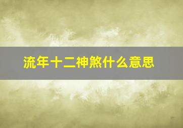 流年十二神煞什么意思