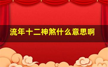 流年十二神煞什么意思啊