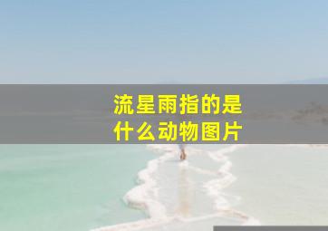 流星雨指的是什么动物图片