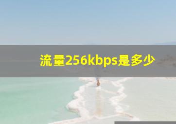 流量256kbps是多少