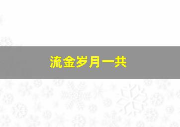 流金岁月一共