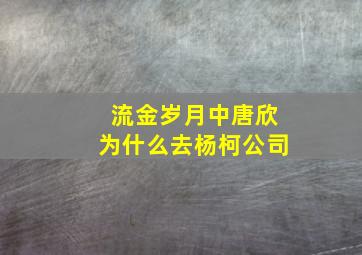 流金岁月中唐欣为什么去杨柯公司