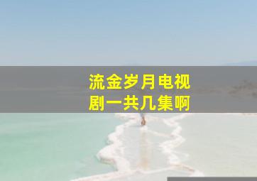 流金岁月电视剧一共几集啊