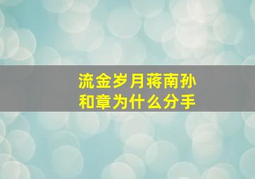 流金岁月蒋南孙和章为什么分手