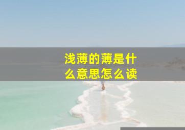 浅薄的薄是什么意思怎么读