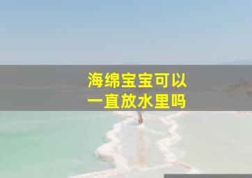 海绵宝宝可以一直放水里吗