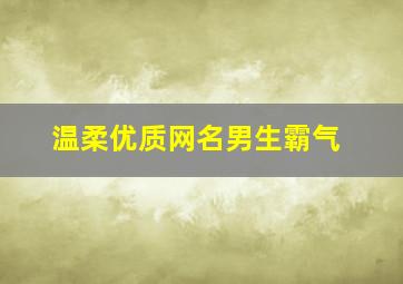 温柔优质网名男生霸气