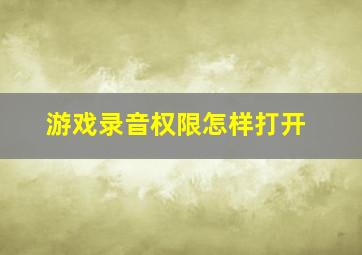 游戏录音权限怎样打开