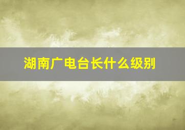 湖南广电台长什么级别