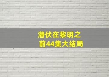 潜伏在黎明之前44集大结局