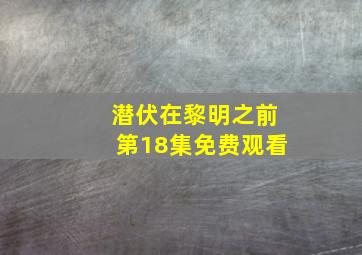 潜伏在黎明之前第18集免费观看