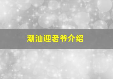 潮汕迎老爷介绍