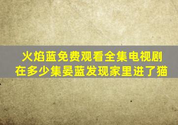 火焰蓝免费观看全集电视剧在多少集晏蓝发现家里进了猫