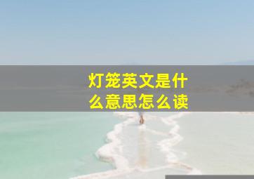 灯笼英文是什么意思怎么读