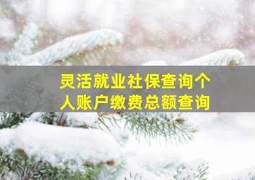 灵活就业社保查询个人账户缴费总额查询