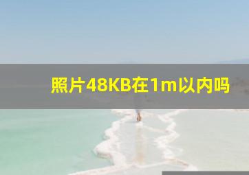 照片48KB在1m以内吗