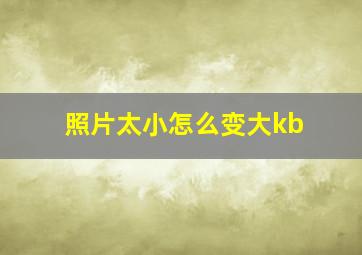 照片太小怎么变大kb