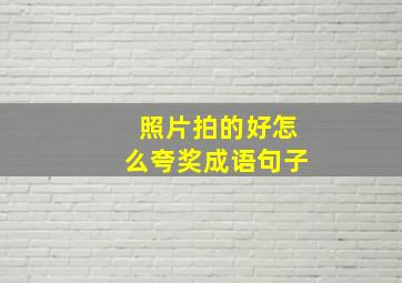 照片拍的好怎么夸奖成语句子