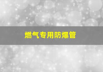 燃气专用防爆管