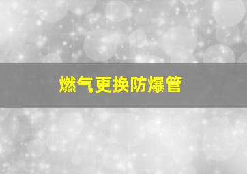 燃气更换防爆管