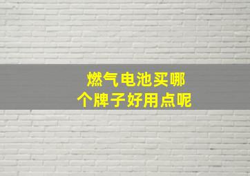 燃气电池买哪个牌子好用点呢