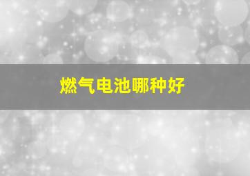 燃气电池哪种好