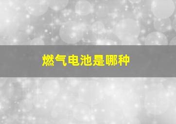 燃气电池是哪种