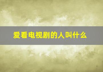 爱看电视剧的人叫什么