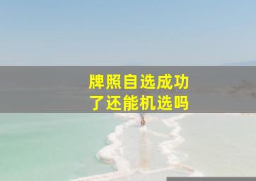 牌照自选成功了还能机选吗