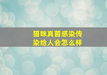 猫咪真菌感染传染给人会怎么样