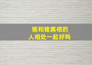 猴和猪属相的人相处一起好吗