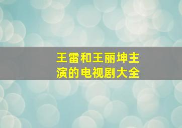 王雷和王丽坤主演的电视剧大全