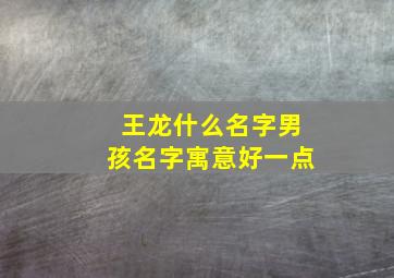 王龙什么名字男孩名字寓意好一点