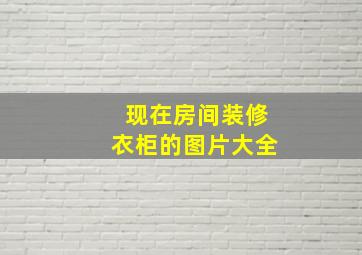 现在房间装修衣柜的图片大全