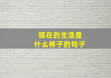 现在的生活是什么样子的句子