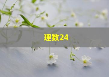 理数24