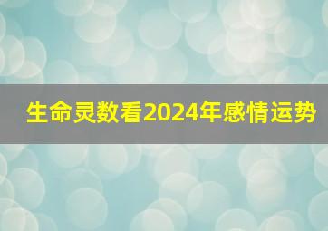 生命灵数看2024年感情运势