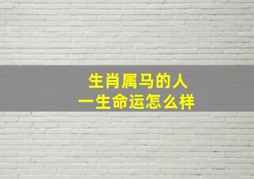 生肖属马的人一生命运怎么样