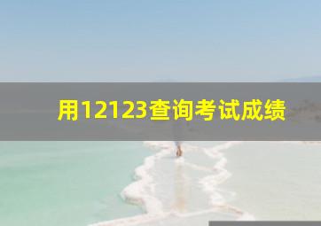 用12123查询考试成绩