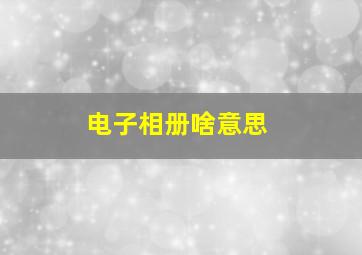 电子相册啥意思